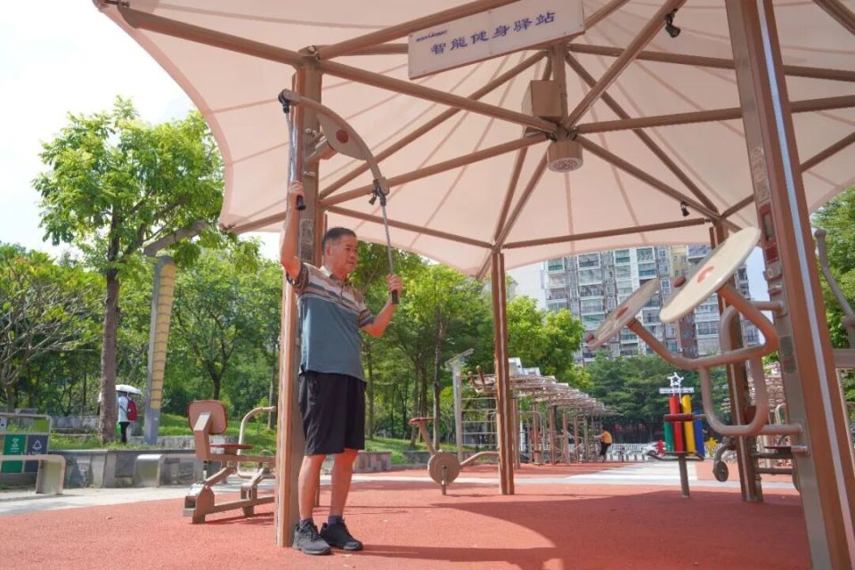 color, 传统的健身 color, 传统的健身