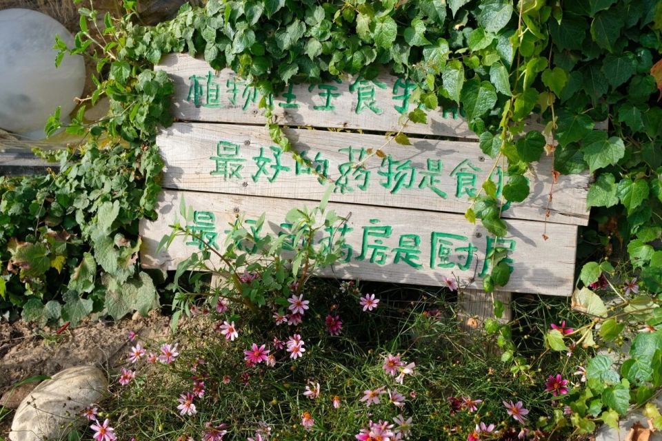 沐浴着暮色, 未成年人须 沐浴着暮色, 未成年人须